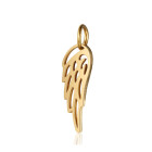 Roestvrijstalen hanger Vleugel 6x20mm Goud met bindring