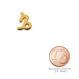 Zodiac Pendant Capricorn gold 10x14mm (Ø2mm) 24K gold plated