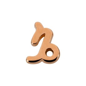 Ciondolo segno zodiacale Capricorno oro rosa 10x14mm...