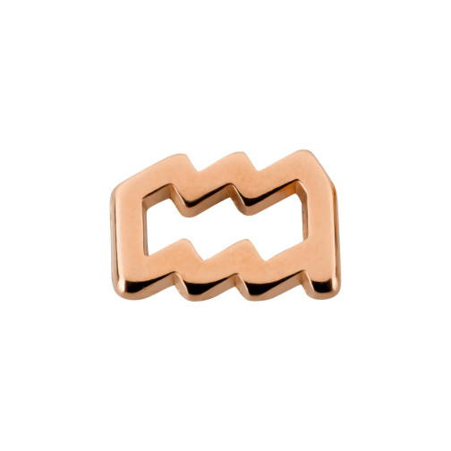Ciondolo Segno Zodiacale Acquario oro rosa 10x14mm (Ø2mm) placcato oro rosa