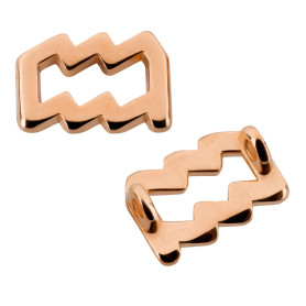 Ciondolo Segno Zodiacale Acquario oro rosa 10x14mm (Ø2mm) placcato oro rosa