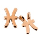 Bedel sterrenbeeld Pisces (Vis) roségoud 10x15mm (Ø2mm) 24K roségoud verguld