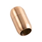 Roestvrijstalen magneetsluiting goud 25x14mm (ID 10mm) geborsteld