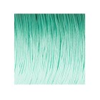 10m Ruban Macramé cordon satin Ø0,8mm Vert menthe