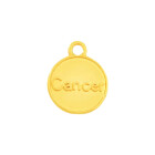 Pendant Zodiac sign Cancer gold 12mm 24K gold plated with enamel in Ice Blue