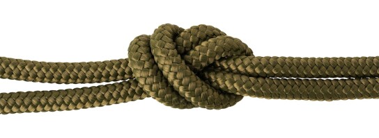 Sail rope / braided cord Olive #23 Ø8mm in desired length