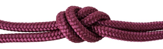Sail rope / braided cord Aubergine #42 Ø8mm in desired length